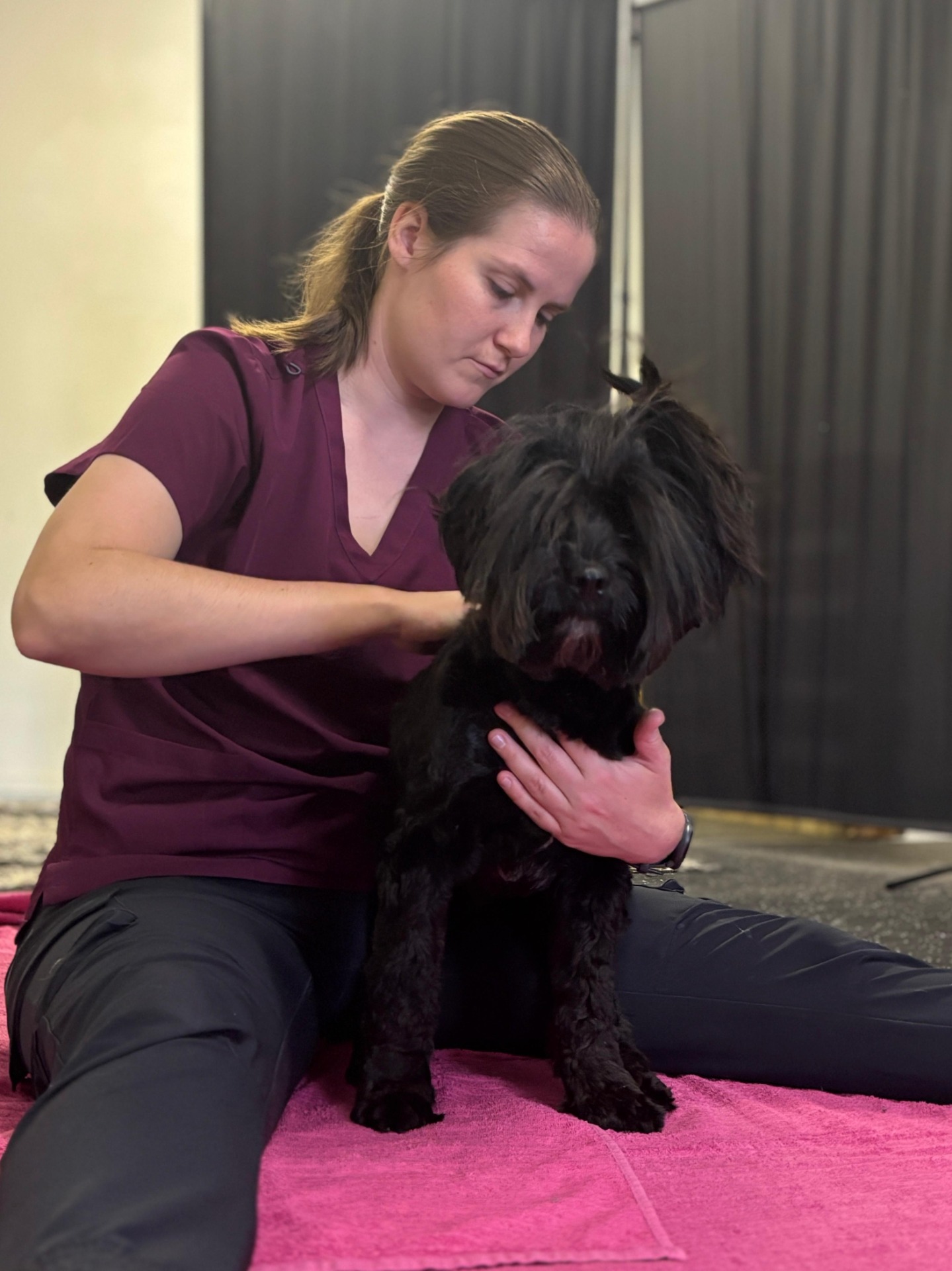 Koirahieronta käytännössä